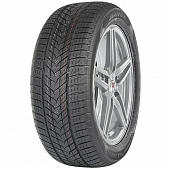 Шины Arivo Winmaster ProX ARW5