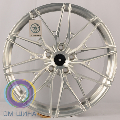 Anzoo VIP-11 9.0x20/5x120 D73.1 ET38 Brush Silver