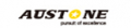 Шины Шины автомобильные Austone