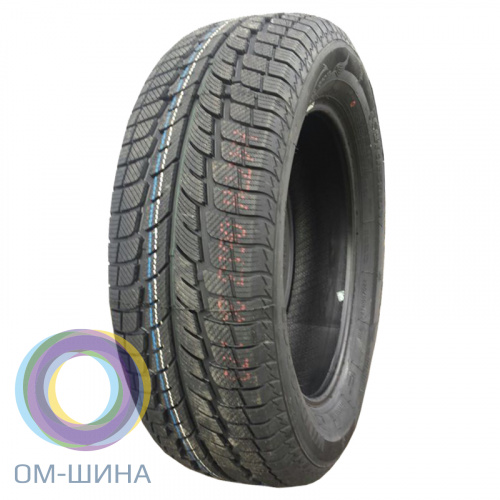 Windforce Catchsnow 205/65 R16 107/105R