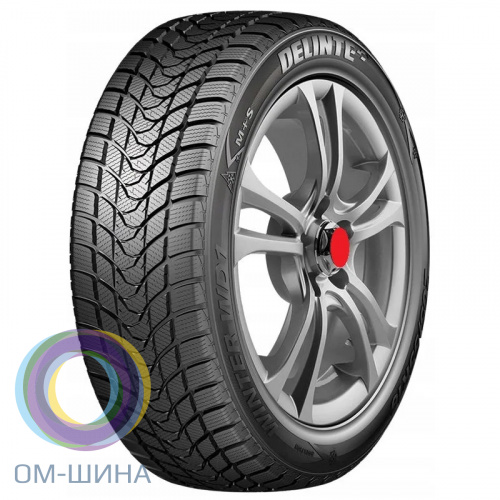 DELINTE Winter WD1 225/45 R17 94H